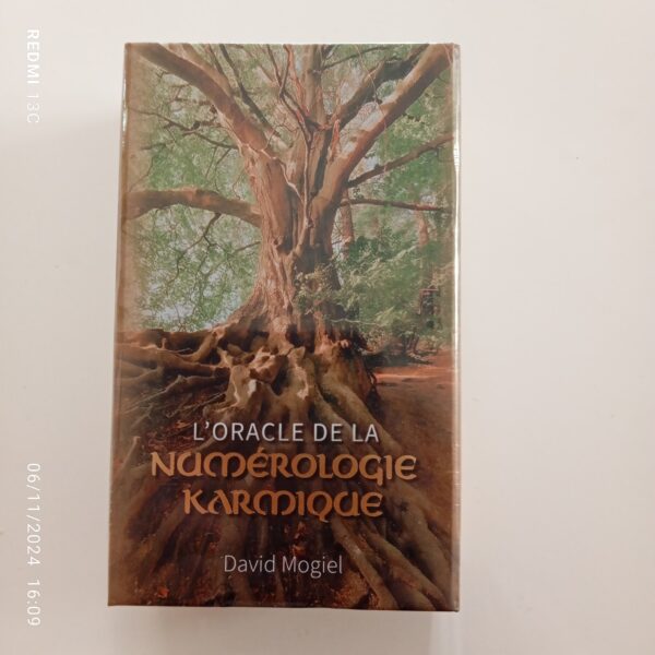 L'Oracle de la numérologie Karmique